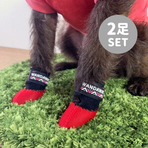 yWANDAWAYzhbOu[c/2PEXS/STCY 2Zbg ȎŃTCYႤꍇ