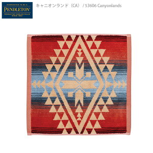 yPENDLETONzIconic Wash yhg ACRjbN WK[h EHbV ^I