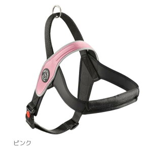 XSiP2{I~11/16܂ŁsKit^`^p̃nhtn[lXIyEȒPESyyTre Ponti g|eBzPrimoivj