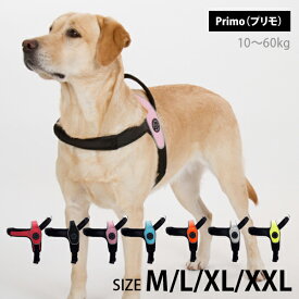 【Tre Ponti トレ・ポンティ】Primo（プリモ）は中型犬、大型犬のために開発されたハンドル付きハーネス！水泳 介護 補助 オールラウンド 10?60kg
