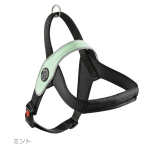 sKit^`^p̃nhtn[lXIyEȒPESyyTre Ponti g|eBzPrimoivj