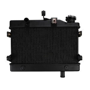 z_ u250 CL250 WG[^[   2020 2021 2022 2023 u Rebel WG^[ N[[ p ЊOi