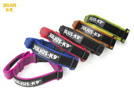 カラー アンド グレイ カラー ハンドル＆ロック付き ユリウスk9 犬用 犬用首輪 【Julius-K9 ユリウスケーナイン ユリウスK9】 color&gray collar （首輪） 幅40mm＆50mm 6色 小型犬 中型犬 大型犬 超大型犬対応! ハンガリー