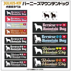�o�[�j�[�Y�}�E���e���h�b�O Bernese Mountain Dog ���햼���x���y1���z�n�[�l�X�Ɠ����w����100�~����(�ō�)��M�T�C�Y S�T�C�Y�^���x���J���[4�F�� Julius-K9 �����E�X�P�[�i�C�� �����E�Xk9 ���x�� I