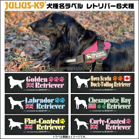 ハーネスと同時購入で100円引き(税込) レトリバー Retriever 犬種名 【1枚】 ユリウスk9 ラベル ＜Mサイズ Sサイズ／ラベルカラー：4色＞ Julius-K9 ユリウスケーナイン IDCパワーハーネス用アクセサリ Original Velcro Label オリジナルベルクロラベル マジックテープ