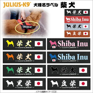 Č Shiba 햼x y1zn[lXƓw100~(ō) STCŶ݁^xJ[F4F Julius-K9 EXP[iC IDCp[n[lXpANZT Original Velcro Label E