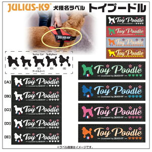 gCv[h Toy Poodle 햼x y1zn[lXƓw100~(ō) STCY^xJ[F4F Julius-K9 EXP[iC IDCp[n[lXpANZT Original Velcro Labe