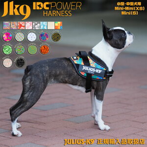 IDCp[n[lX Mini MiniEMini 40-67cm yJ[FV[Y3z Julius-K9 EXP[iC EXK9 EXk9 ^ ^ n[lX  pn[lX p  [lR|X܂͂䂤