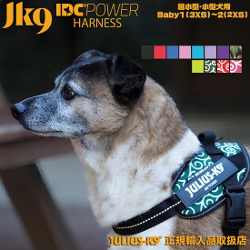 IDCパワーハーネス Baby1 Baby2 胸囲29-45cm ユリウスk9 ハーネス 犬 小型犬 カラー豊富 Julius-K9 ユリウスケーナイン ユリウスK9 犬用ハーネス 犬用 胴輪 【カラー：シリーズ1】