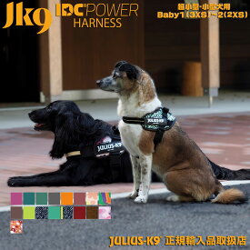 IDCパワーハーネス Baby1・Baby2 胸囲29-45cm Julius-K9 【カラー：シリーズ2】 ハーネス 犬 小型犬 ユリウスケーナイン ユリウスK9 犬用ハーネス ユリウスk9 犬用 胴輪 [ネコポスまたはゆうパケット送料無料]