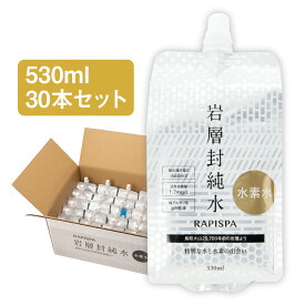 鳥取県・大山の温泉水 岩層封純水 水素水 RAPISPA530ml 30本入りたっぷり入ったお得なサイズ