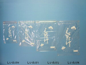 ~jObv I 1P[X2,000(100×20)