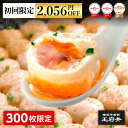 【初回限定・2,056円引きクーポン配布中】焼き小籠包 45個 9人前 横浜中華街 王府井 フライパン調理用 冷凍食品 1.0正宗生煎包 国内製造 15個×3袋