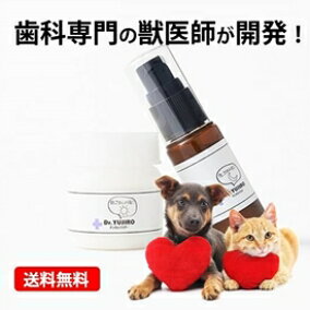 楽天市場 デンタルケア用品 人気ランキング1位 売れ筋商品