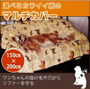 柄が選べるマルチカバー(裏ポチポチ)　150cm×200cm ゴールデンレトリバーのシルエットが可愛い大型犬 敷き物