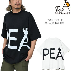 �S�[�X���[�L�����o�� go slow caravan T�V���c ���� �����Y ���f�B�[�X USA/C PEACE �т����� BIG TEE 361918 2026SS sst�y���z2606wann[M�� 1/1]
