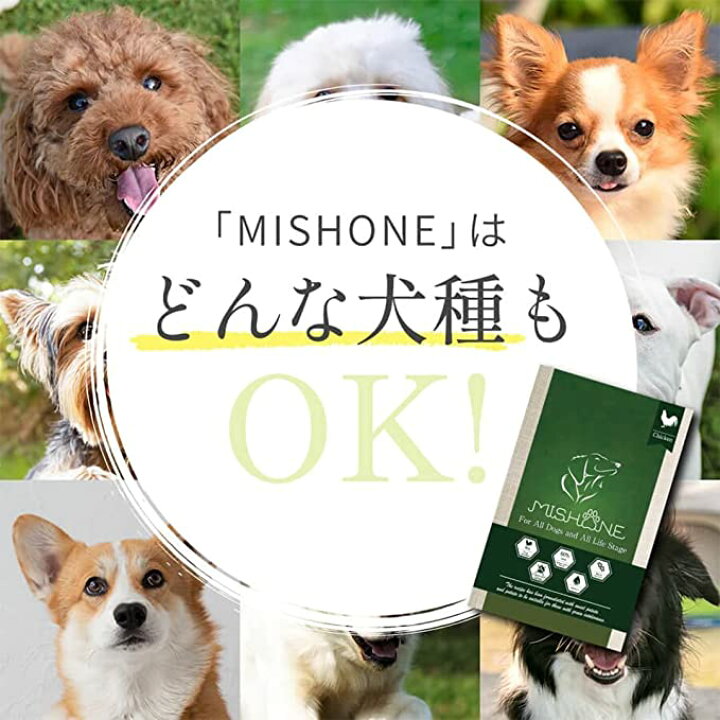 楽天市場】【公式】 【トライアル100g×2個セット】 ミシュワン MISHONE 