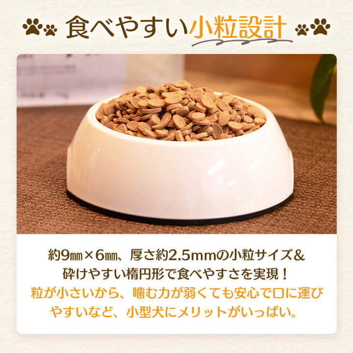 楽天市場】＼レビュー投稿で選べるプレゼント／ 【公式】 【2個セット 