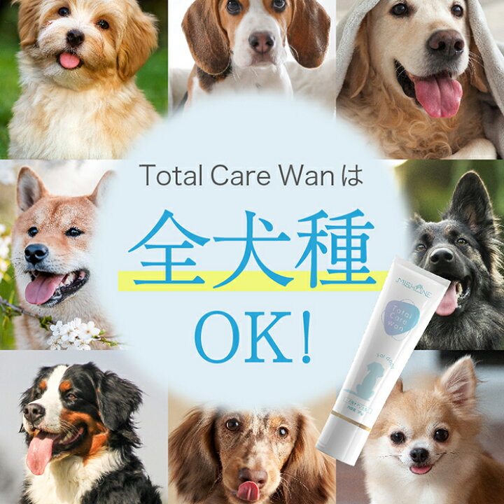 トータルケア メディカルワン 犬 口コミ 犬の里親募集 岡山県・チワワ ロング ・チワワ キキ ID 2602-00764 -みんなのペット里親情報