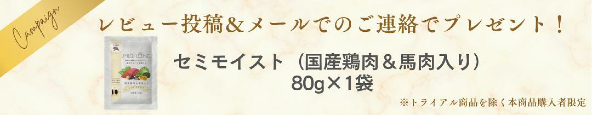 Reviewキャンペーン