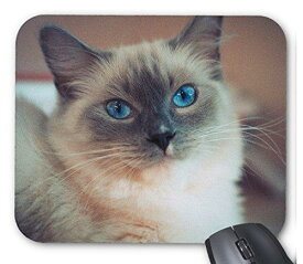 青い目の猫のマウスパッド：フォトパッド（世界の猫シリーズ）