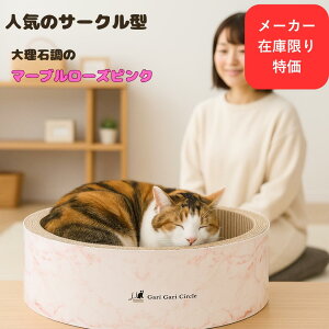 P3{}\ő50{mju:KKT[NXNb`[CeA J[F}[u[YsN 1ԑI񂾃J[  ͂܂S L̍DS܂Ă