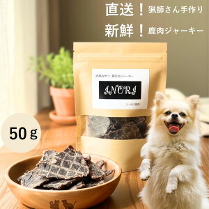 y tVNW[L[ 50g zVN Y W[L[ p Lp Y  hbOg[c ybg WrGW[L[ ^pN J[  SS 