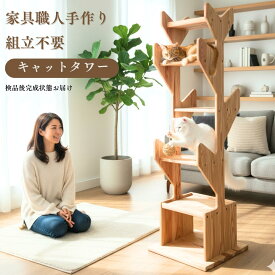 【家具職人が作る究極の キャットタワー】 高級家具 猫タワー 大型猫 中型猫 小型猫 おしゃれ 据え置きタイプ 多頭飼い 国産 国産杉使用 家具職人 手作り 木製キャットタワー 北欧風キャットタワー 高級木材 猫家具 天然素材 使用済完成品 組立不要 見晴らし最高