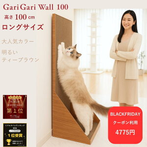 ubNtCf[N[|zzmju:KKEH[100 100cm J[FeB[uE@L ܌ c^ XNb`[ 100cm _{[ ܂Ƃ^[ wL ܃PA