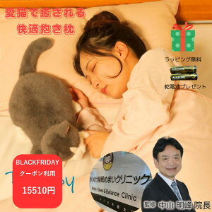 ubNtCf[N[|zzs[ ueBbVV[gwA[ NX}X NX}Xv[g bsO P ObY  Sʂ b