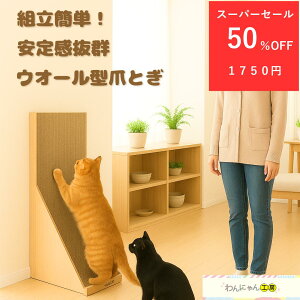 12/5 23:59܂3500~z1750~ L܂Ƃ Lp܂Ƃ LbgXNb`[ ܌ XNb`[ EH[ ǌ^܂Ƃ LpObY ؖڒ ܃PA LXgX EI[ L^ 