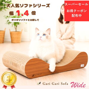 y5̓|Cg5{{N[|Iz L܂Ƃ Lp܂Ƃ ChTCY yKK\t@ Chz mju:KK\t@XNb`[ eB[uE ^LΉ  L \t@^ ܂