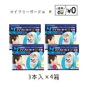 @}Ct[K[hp@M 3{×4@䂤pPbg@pi