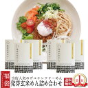 プレゼント グルテンフリー 小麦粉不使用 アレルギー対応 アレルギー物質8品目不使用 オーガニック 発芽玄米めん 滋賀 茗荷村 農薬不使用 有機栽培 国産 米粉パスタ 半生麺 ビーガン ヴィーガン 米粉麺 米粉めん 米粉ラーメン