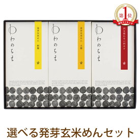 プレゼント ギフト お祝い グルテンフリー 小麦粉不使用 アレルギー対応 アレルギー物質8品目不使用 玄米麺 国産 パスタ 麺 米粉 発芽玄米 めん ジャージャー麺の素セット 【送料無料】滋賀 茗荷村 農薬不使用 マクロビ 無添加 低GI