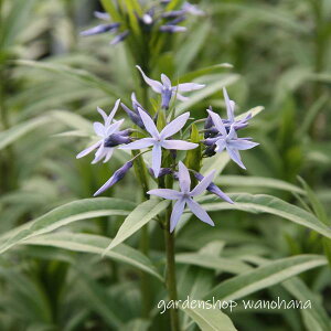  (`EW\E)2025NJԏIB2026NJԌ݁B