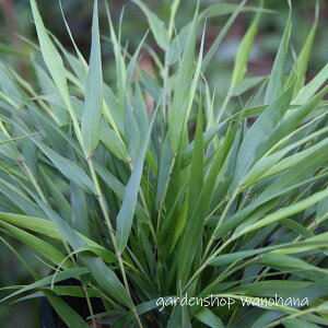 m (tE`\E)2025N10`tɏ݃AB~ɂ͒n㕔͂āAtɂYȐV肪o܂BB