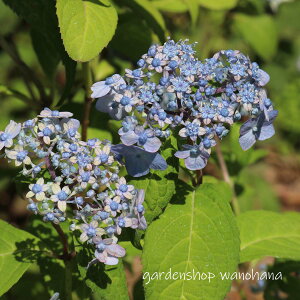 }AWTC Qm(}AWTC Ri~mcL)2025N11`Atɏ݃AB2026NJԌ݁B