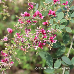 蔋 (tCnM)2025NJԏIBn㕔JbgĂ̔ꍇ܂B͔̎肪ڗ܂BB