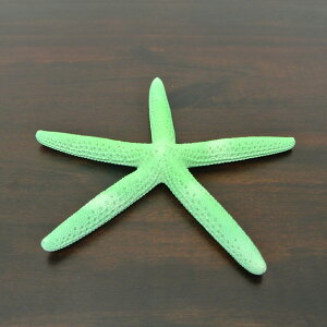 (qgf@u@O[)nCAG u nC G nCA ObY(X^[tBbV)hawai C Cݕ(nCG oG AWAG)gsJ An ][g }