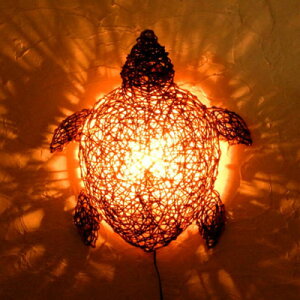 (^ E~K Ǌ|Cg)uPbgCg uPbg Ɩ g ԐڏƖ Cg  킢 v Q Ɩ led LED g[^X(T J zk)AWA(VmY AW