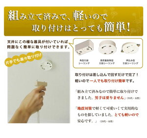 裸電球ランプ黒