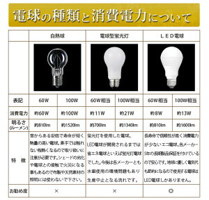 アジアン照明蓮花つぼみランプ(SS)