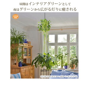 1灯式KOMOREBIつぼみペンダントライト