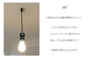 裸電球ランプ黒