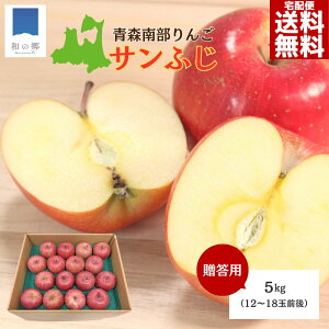 ő300~N[|&|Cg5{1623:59܂ŁI2025N X  5kg 12`18ʑO Tӂ ̂ꂽ Yn  X X암Y S p Mtg Ε