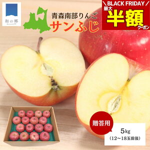 BLACK FRIDAY_ő唼zN[|20.25|Cg5{^2025N X  5kg 12`18ʑO Tӂ ̂ꂽ Yn  X X암Y S p Mtg Ε