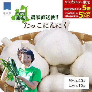 _tf[SiΏ2000~5%OFF&|Cg5{_ƒ X cq ɂɂ M20/L15 cq jjN Y cqɂɂ cqjjN ɂɂ X ɂɂ Â  N 