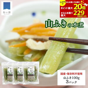 y1SiΏہI2ȏŃ|Cgő20{229~zR ӂ  100g 3pbN Hc Y VR Rӂ YR HcY VRR Rؐ ۑsgp Fsgp R̍K |Cg