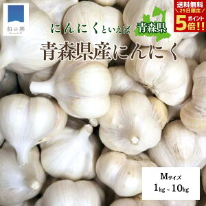 y25SiΏہI|Cg5{zVɂɂ X 1kg`10kg MTCY 1L20 VjjN V Yn _ƒ jjN Y X ɂɂ nzCg  N C ɂɂ 